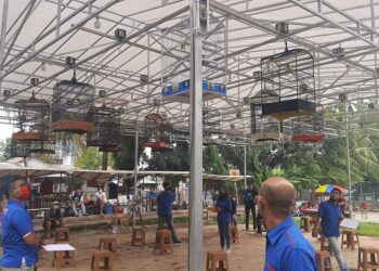 Taman Kota Tempat Lomba Burung Berkicau Menuai Kecaman Pengamat Hukum di Kota Depok