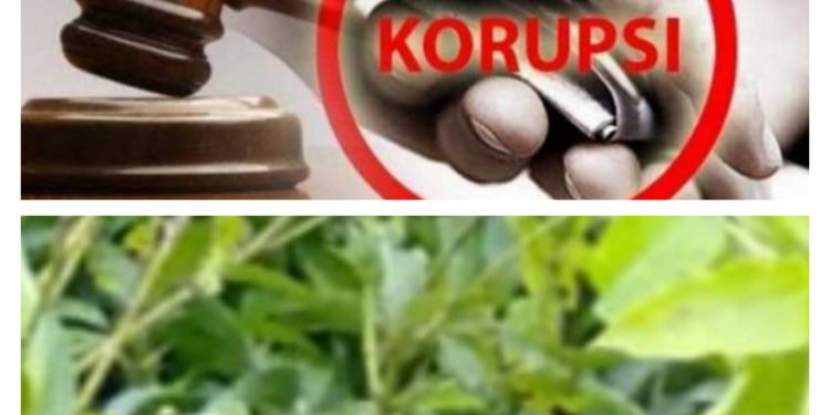 Diduga DD Lubuk Puding Lama Bid Fisik dan Pemberdayaan Terindikasi Korupsi