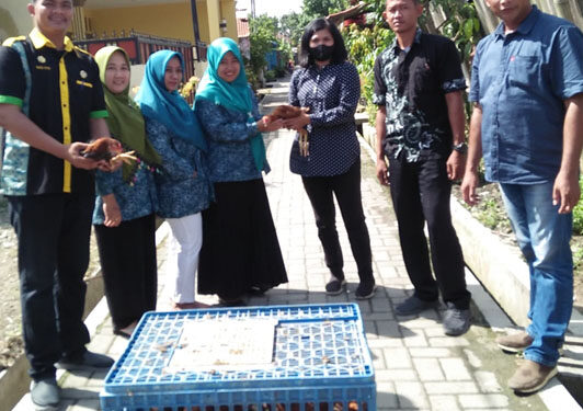 Pemerintah Desa Sambirejo Timur Dapat Bantuan 100 Bibit Anak Ayam Dari Pemprov Sumut