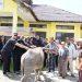 Menanda Tahun Di Delleng Simenoto, Pemkab Pakpak Bharat Sumbang Satu Ekor Kerbau