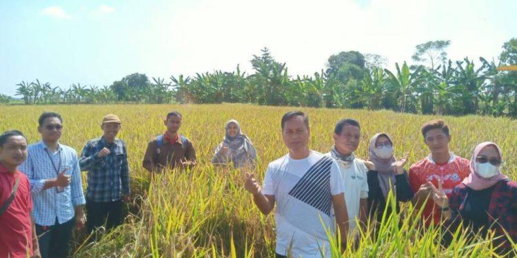 Camat Balongan Dampingi BPP Balongan Lakukan “UBINAN” di Desa Sudimampir Lor