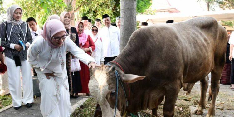 Bupati Nina: “Semoga Semangat Berkurban Membawa Kedamaian dan Keberkahan Bagi.” Kita Semua