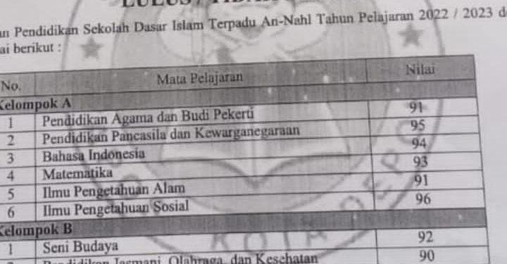Kok Bisa Nilai Bagus Ditolak SMPN 11, Diduga Proses PPDB Kota Depok Terindikasi Kecurangan