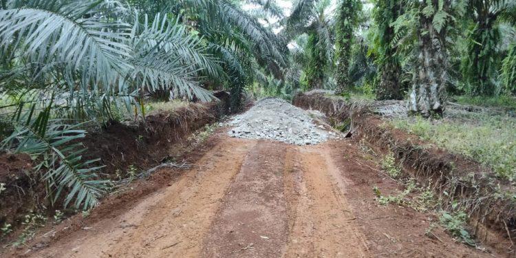 Pengoralan Jalan Usaha Tani di Desa Rimbo Besar di duga Proyek Siluman, Warga Protes