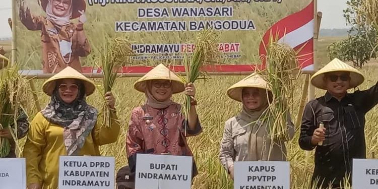 Bentuk Cinta Kepada Petani, Bupati Indramayu Kucurkan Bantuan Rp27,7 Miliar