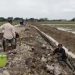 Pemdes Candangpinggan Diduga Srobot Tanah Bengkok