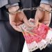 Rp.2,7 M lebih Dana Desa 2 Tahun Diterima Desa Karangmulya Kecamatan Bojongmangu Kabupaten Bekasi, Diduga Dikorupsi Kades