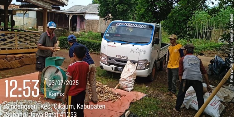 BUMDES Bangkit Srilugina Desa Sindangsari, Jalankan Usaha Singkong Gaplek Aci
