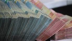 Desa Tanjungsari Timur Kecamatan Cikaum Kabupaten Subang Thn 2024-2025 Menerima Dana Desa Rp.2,4 M lebih, Masyarakat Duga Dikorupsi Kades