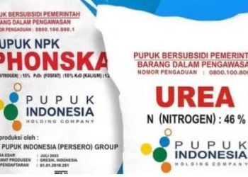 Jangan Coba-coba! Penjualan Pupuk Subsidi di Atas HET Bisa Kena Sanksi Berat, Denda Rp1 Miliar & Penjara 20 Tahun